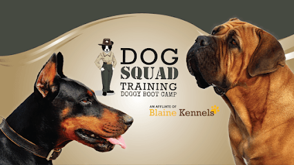 Dog Squad Training featured image for this Dog Trainer
