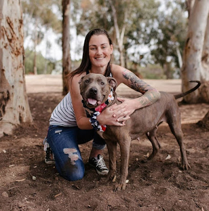 Crewsn K9 Academy featured image for this Dog Trainer