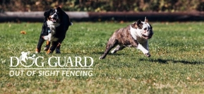 Dog Guard of Central Indiana featured image for this Dog Trainer