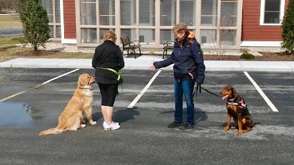 Dog Lovers Training featured image for this Dog Trainer