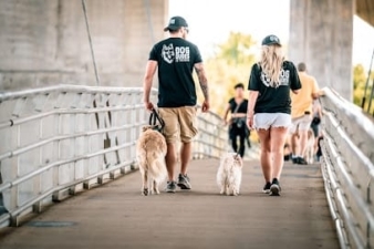 Dog Dudes K9 Training featured image for this Dog Trainer