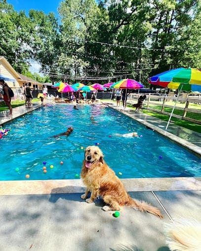 Enchanted Ranch Boarding & Training featured image for this Dog Trainer
