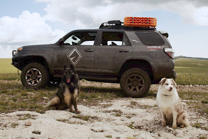 Cross Tier K9 LLC featured image for this Dog Trainer