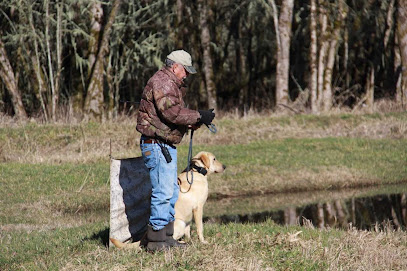 Coyote Creek Retrievers | Training • Breeding • Boarding featured image for this Dog Trainer