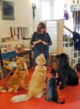 Dog Talk & Therapet featured image for this Dog Trainer
