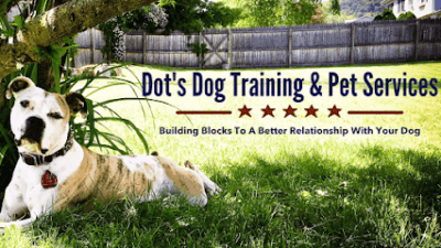 Dot’s Dog Training and Pet Services featured image for this Dog Trainer
