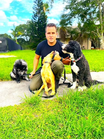 Duran’s K9 Training featured image for this Dog Trainer