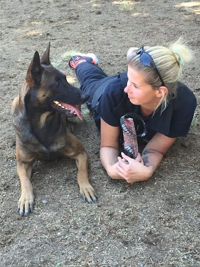 Deschutes K9 Training Solutions LLC #2 featured image for this Dog Trainer