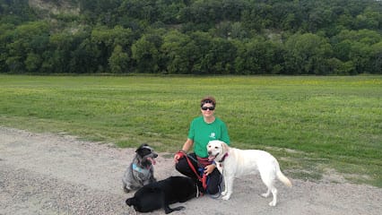 Dog Training With Rhonda York featured image for this Dog Trainer