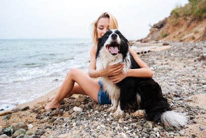 Dog Training Now Charleston featured image for this Dog Trainer