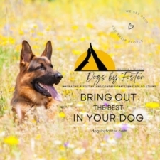Dogs by Foster, Behavior and Training featured image for this Dog Trainer