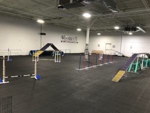 Doggie U K9 Academy featured image for this Dog Trainer