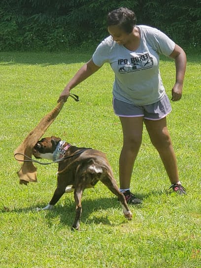 Evolution Dog Training, LLC featured image for this Dog Trainer