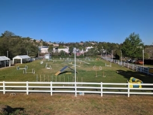 Dog Quest featured image for this Dog Trainer