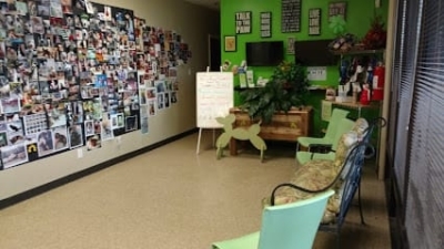 Dog School 101, Inc. featured image for this Dog Trainer