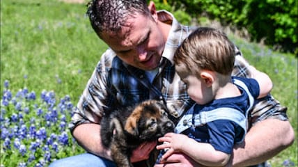 DFW K9 featured image for this Dog Trainer
