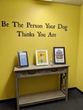 Doggonit Training featured image for this Dog Trainer