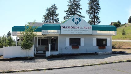 Diamonds In the Ruff #2 featured image for this Dog Trainer
