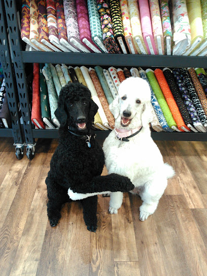 Creature Coach Dog Training, LLC featured image for this Dog Trainer