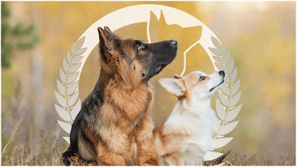 Dog Training Elite Northeast Ohio featured image for this Dog Trainer