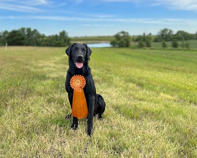 Drake Creek Kennels featured image for this Dog Trainer