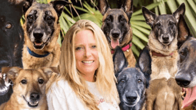 Dogs In Bloom – Dog Training, LLC featured image for this Dog Trainer