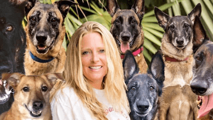 Dogs In Bloom – Dog Training featured image for this Dog Trainer