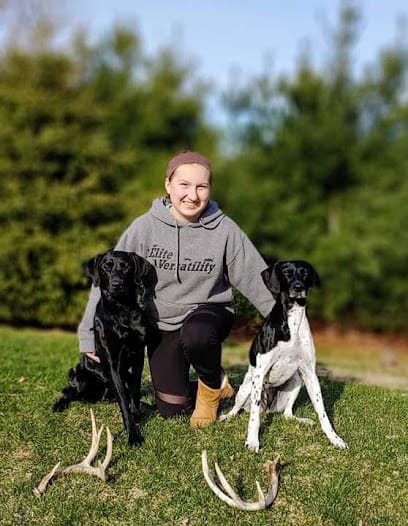 Elite Versatility featured image for this Dog Trainer