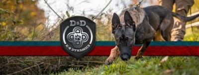 D & D K9 Dynamics featured image for this Dog Trainer