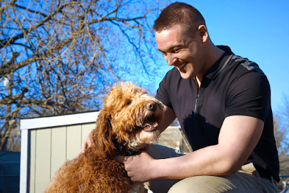 Dog Obedience Guy featured image for this Dog Trainer