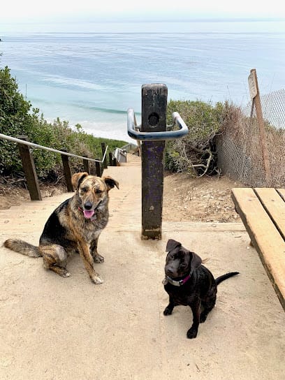 DOGGY BOOT CAMP-Santa Barbara featured image for this Dog Trainer