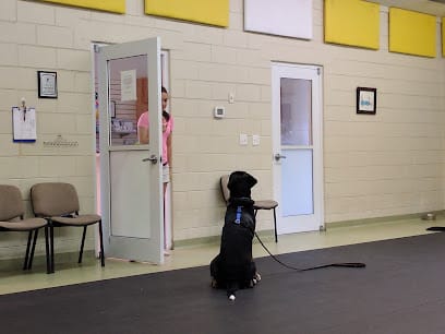 Dog Willing, DogSmith of Northeast Orlando featured image for this Dog Trainer