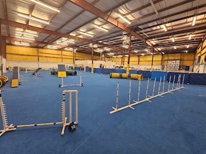 Dog Training Club of Tampa, Inc featured image for this Dog Trainer