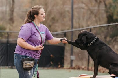 Dog Training at Pampered Pets Inn featured image for this Dog Trainer