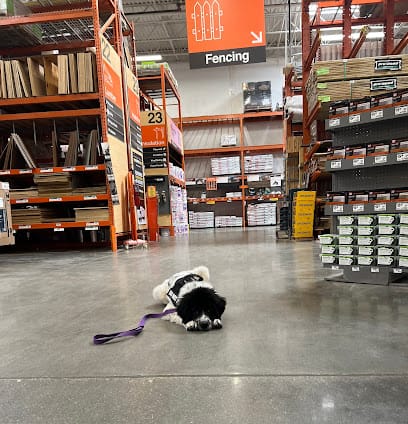 Doggieology 101 featured image for this Dog Trainer