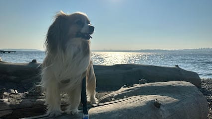 Doggy Development featured image for this Dog Trainer