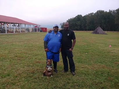 Diamond Cut Kennels featured image for this Dog Trainer