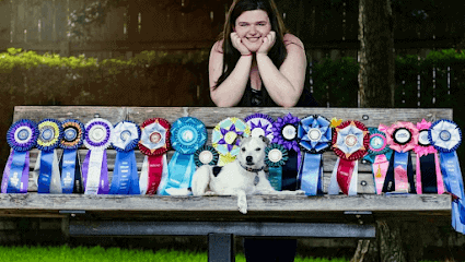 Dog Gone Fun Agility LLC featured image for this Dog Trainer
