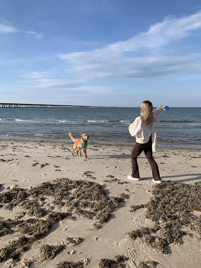 Doggy Decorum, LLC featured image for this Dog Trainer