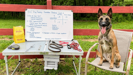 D&C Dog Training featured image for this Dog Trainer