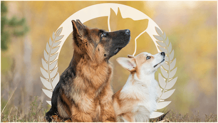 Dog Training Elite Carmel / Fishers featured image for this Dog Trainer