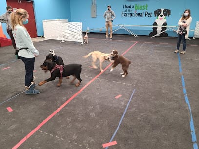 Exceptional Pet Dog Training Center featured image for this Dog Trainer