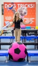 Do More With Your Dog! featured image for this Dog Trainer