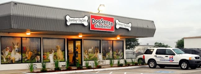 Dogsense Obedience, Inc. featured image for this Dog Trainer