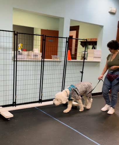 Everydog Training Center featured image for this Dog Trainer