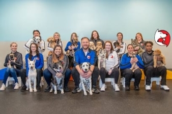 Dog Gone Problems featured image for this Dog Trainer