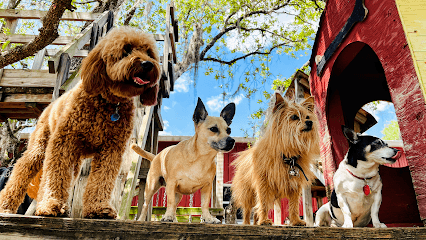 Doglando featured image for this Dog Trainer