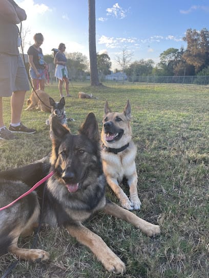 Everyday K9 featured image for this Dog Trainer