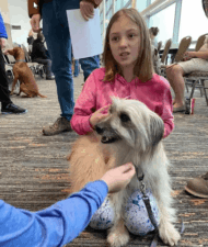 Erie Kennel Club featured image for this Dog Trainer