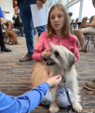 Erie Kennel Club featured image for this Dog Trainer